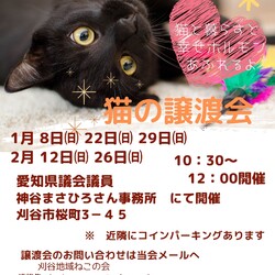 刈谷地域ねこの会 譲渡会