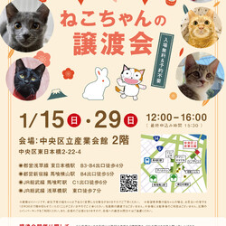 ねこざんまい譲渡会@東日本橋