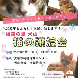 猫の譲渡会 @犬山市福祉活動センター