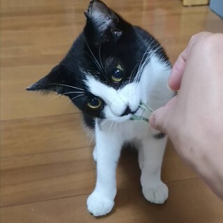 優しいお姉さん気質⭐︎フォーちゃん