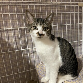 姉妹3匹で家族に迎え入れてくれました。