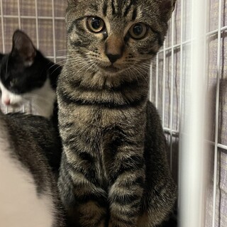 3匹姉妹で家族に迎え入れてくれました