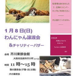 わんにゃん譲渡会