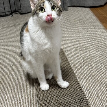 の写真