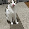 の写真