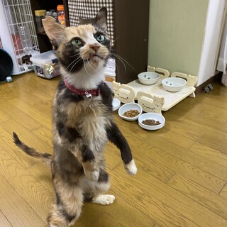 フレンドリーひかり