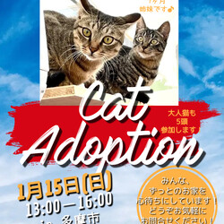 保護猫譲渡会　多摩市