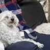るるのママ