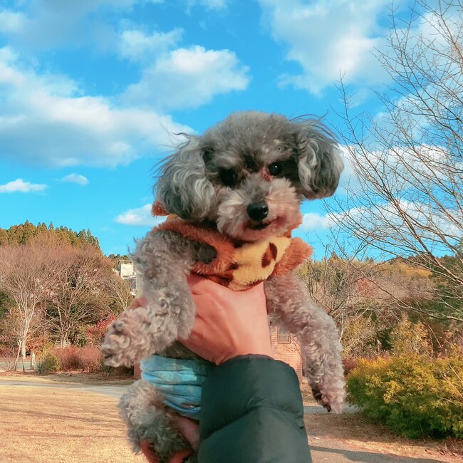 ニキさんのカバー写真