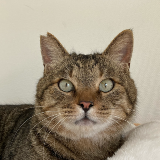 性格二重丸！　ゆずまる君！