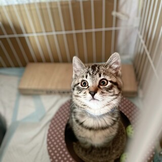 良いご縁に繋がりました！