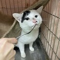 【相模原市】元気な愛想がある男の子♪