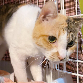 とっても甘えん坊さんな女の子「妙子ちゃん」