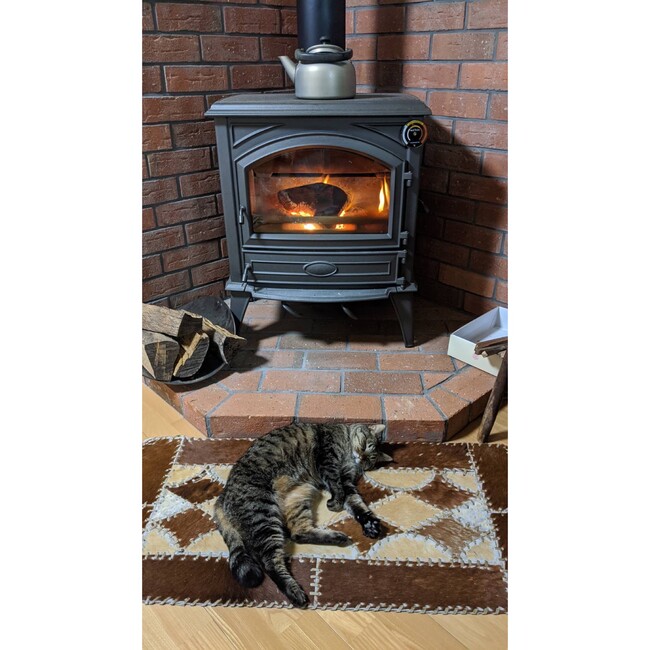 ねこふくまるのカバー写真