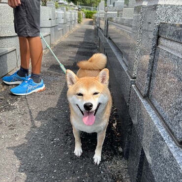 去年のお墓参りの写真です