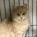 彼女と居ると時がまったりと流れます。シナモンちゃん