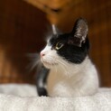 1歳ぐらいハッキリした顔立ちの女の子