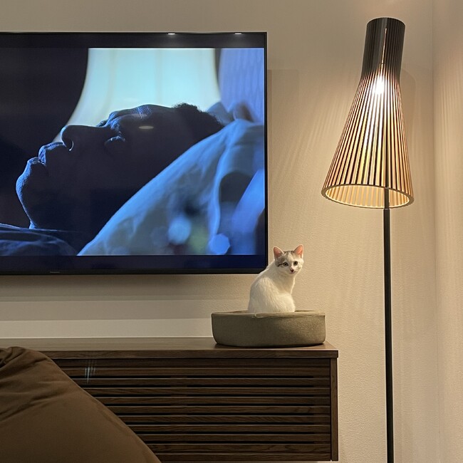 ペグミグのカバー写真