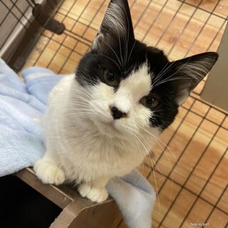 だっこ大好き　ほまれちゃん