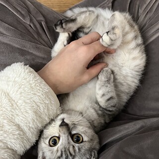 不思議な柄のマヒマヒちゃん⭐︎3ヶ月