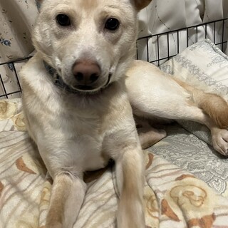 フレンドリードッグもぐくん@大田区