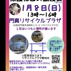 保護ねこの譲渡会
