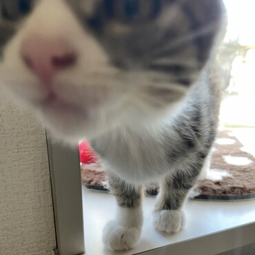 あけおめ〜❗️