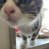 あけおめ〜❗️