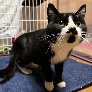 お外で頑張った若ママちゃん