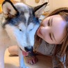 じゃむりほ