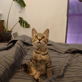 元気じるしの「元気君」