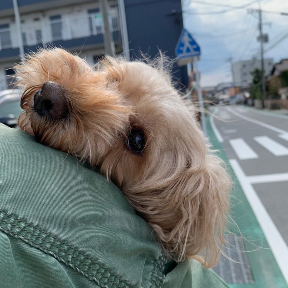 田代モカのカバー写真