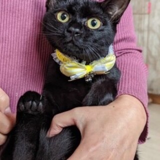 まんまるまるまるくん♡お膝も好きよ