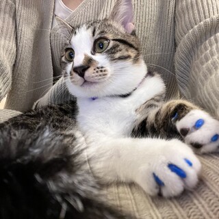 クロちゃん7ヶ月