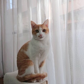 素敵な家族ができました♡ゆきちゃん