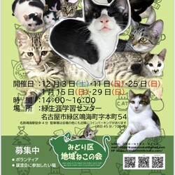 名古屋市緑区猫の譲渡会
