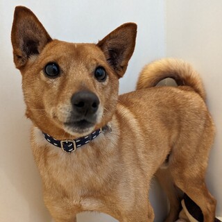 抱っこが大好き！【民生】君☆