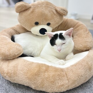 撫でられるとうっとりシエルくん！