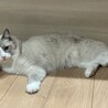 の写真