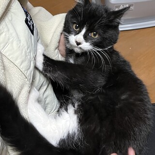 写真追加！ふわっふわ白黒の女の子