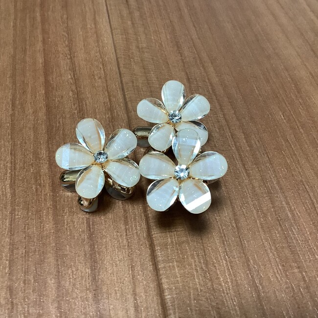 犬　love のカバー写真