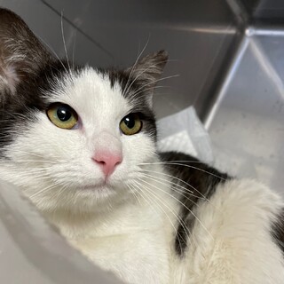 とにかくスリゴロさんの可愛子ちゃん♪