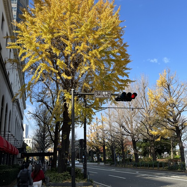 みおみはままのカバー写真