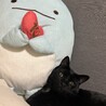 とかげと一緒