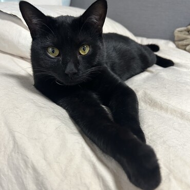 カワァ