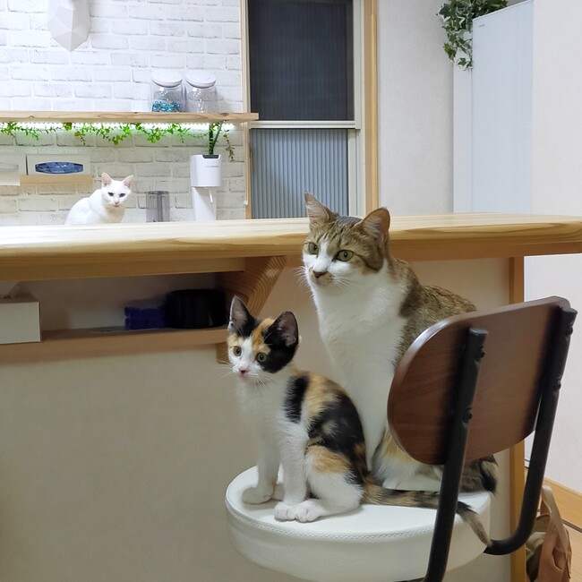 0220のカバー写真