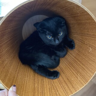 キラ♀5兄妹の1番慎重な女の子