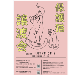 大阪　保護猫譲渡会