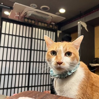 大人しい控え目男子☆まさお