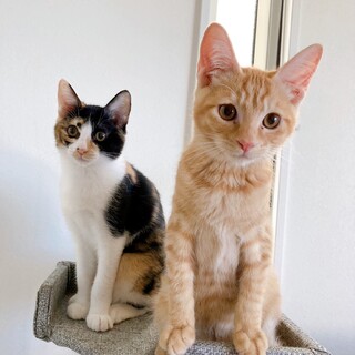 1/22稲毛海岸ෆ⃛人馴れ抜群ෆ⃛チャトくん